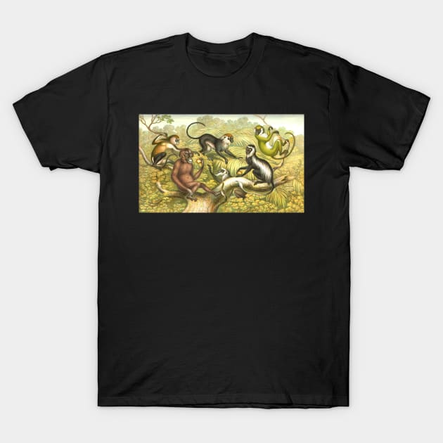 Primate types Circa 1874 T-Shirt by artfromthepast